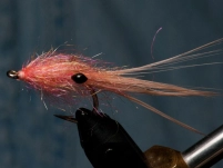 Eskol's Mini Pig Eskol's Mini Pig