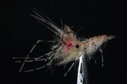 Upside down Upside down