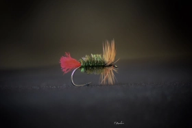 Classic dry Classic dry