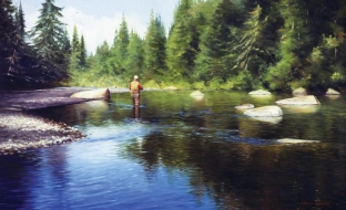 The Perfect Day The Perfect Day