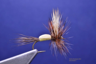 Step 12 - wrap other hackle Step 12 - wrap other hackle