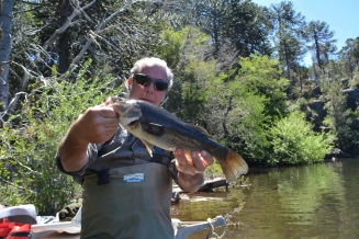 Bass from Pulmarí lake Bass from Pulmarí lake