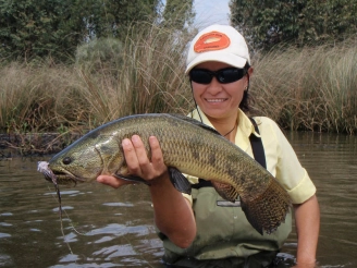 A dinosaur fish A dinosaur fish