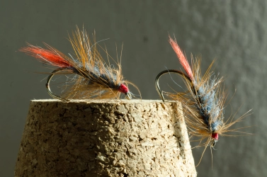 Red tailed variants Red tailed variants