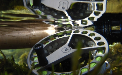 Upside down Upside down