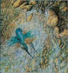 The kingfisher The kingfisher