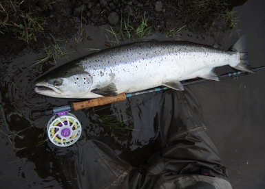 Perfect condition Perfect condition