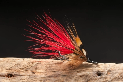 Red Tag Irish Shrimp JC Red Tag Irish Shrimp JC