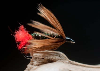 Coastal Red Tag Coastal Red Tag