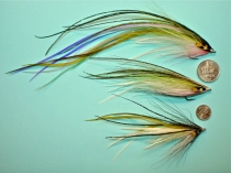 Comparison Comparison