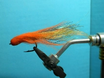 Orange woolhead fly Orange woolhead fly