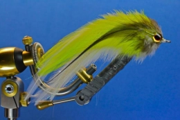 Super simple Super simple