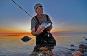 Discrete reflections Discrete reflections