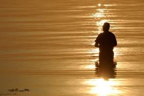 The obvious The obvious