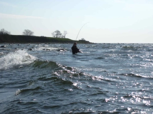 A hookup in the waves A hookup in the waves