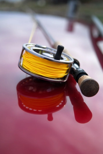 Roof reflection Roof reflection