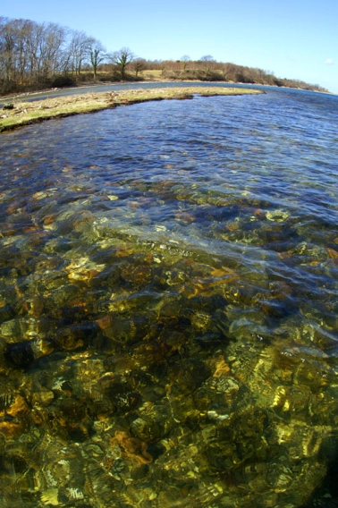 Why bother? Why bother?