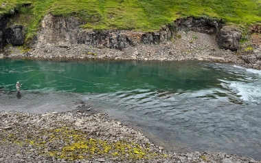 Covering a pool Covering a pool