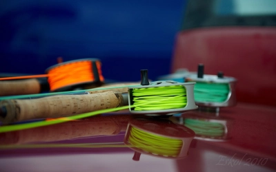 Another car roof Another car roof