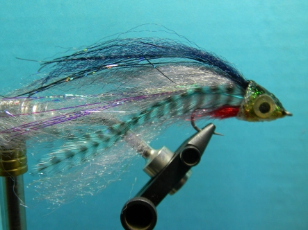 A deceiver style fly A deceiver style fly