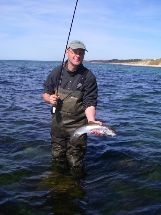 Small, bright fish Small, bright fish