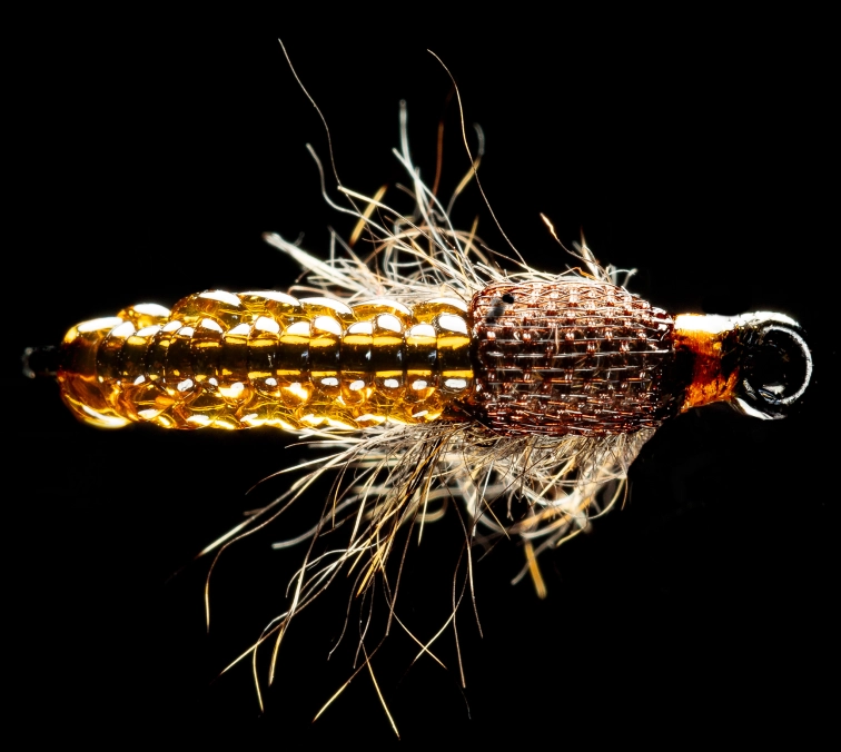 Texture and transparency Texture and transparency