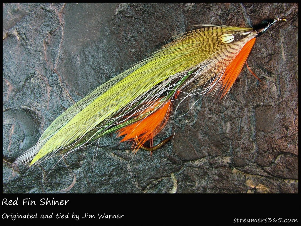 #220 Red Fin Shiner - Jim Warner #220 Red Fin Shiner - Jim Warner