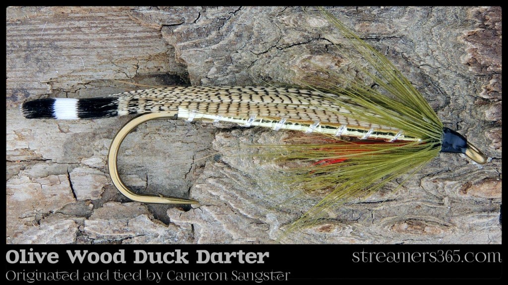 Olive Wood Duck Darter - Cameron Sangster