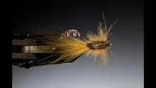 Video thumb for Damsel Stalking Bug