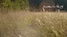 Video thumb for Brothers On The Fly: Small Streaming