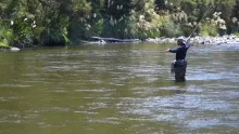 Video thumb for Beeps in NZ