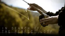 Video thumb for In search of the perfect loop