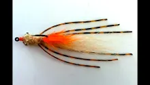 Video thumb for Spawning Mantis Shrimp