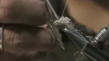 Video thumb for The Butch Caddis