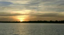 Video thumb for Milkfish