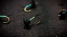 Video thumb for Black Cruncher Variant