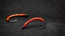 Video thumb for Red Worm