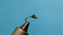 Video thumb for PB's buzzer #1