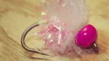 Video thumb for Get Down Winter Egg