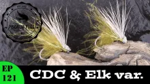 Video thumb for CDC & Elk Variant
