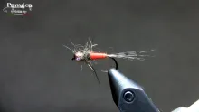 Video thumb for Orange Body Nymph