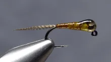 Video thumb for Sulphur Perdigon