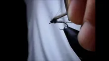 Video thumb for Efemera Atractora