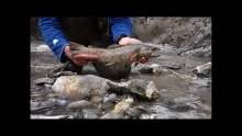 Video thumb for Double Sided