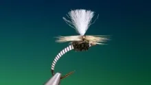 Video thumb for Vulgata emerger
