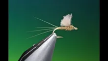 Video thumb for RS 2