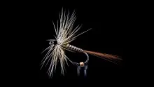 Video thumb for Bivisible Quill