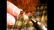 Video thumb for Salty Krystal Flash Shrimp