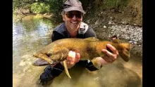 Video thumb for The last Big trout of the Season