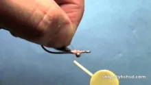 Video thumb for Pink Puff Fly